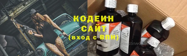 гидра Арсеньев