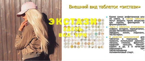гидра Арсеньев