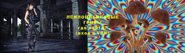 молекула духа Армянск