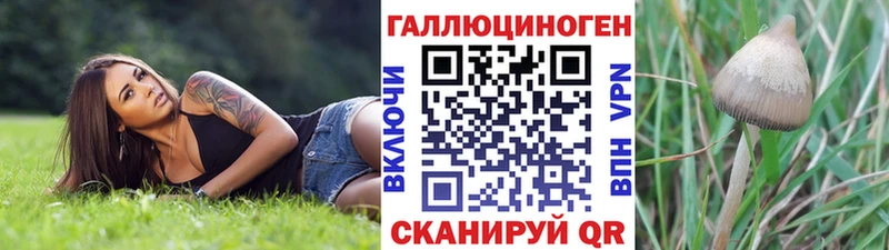 Галлюциногенные грибы Cubensis  купить наркотики сайты  Кириши 